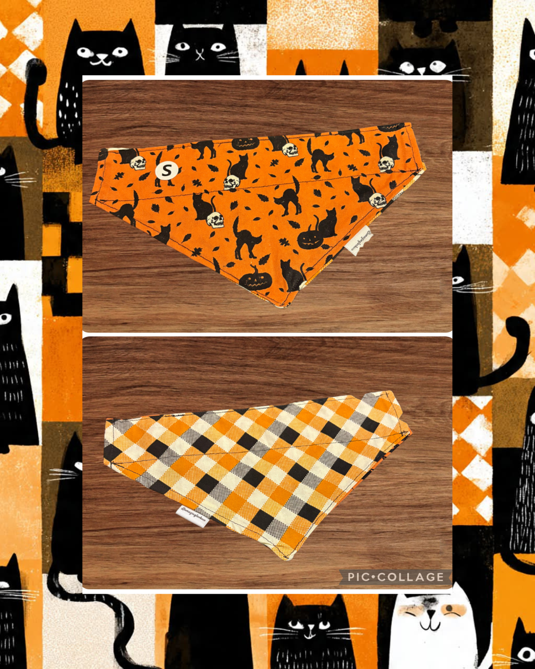 Small Black Cat Crossing over the collar reversible pet bandana