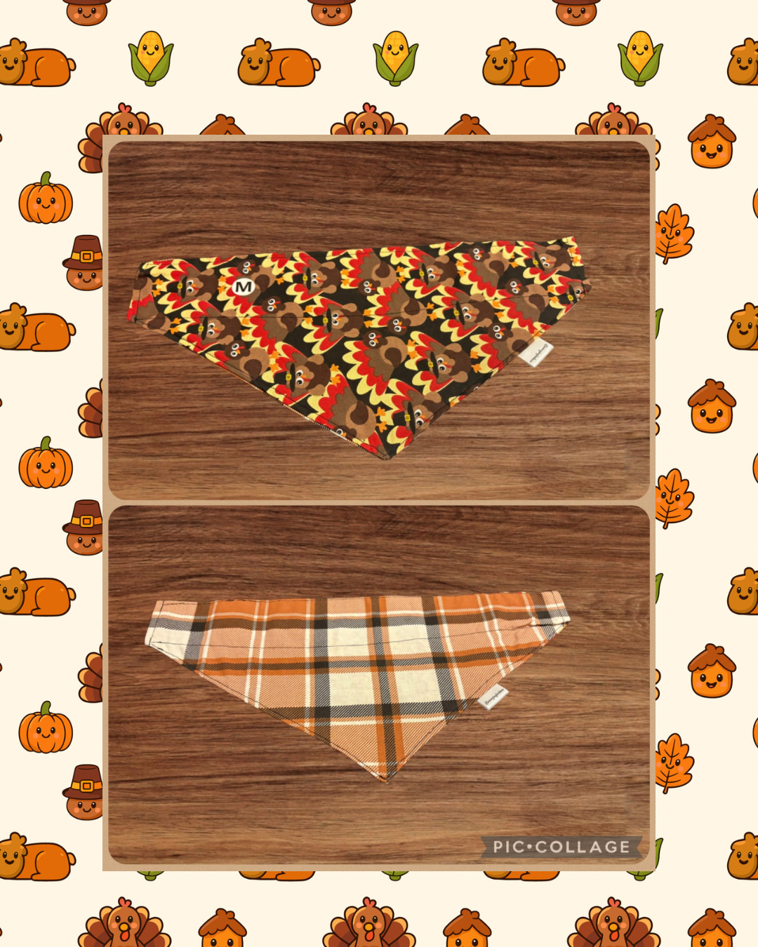 Medium Give Thanks over the collar reversible pet bandana