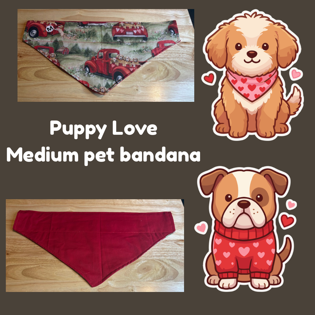 Puppy Love over the collar reversible pet bandanas