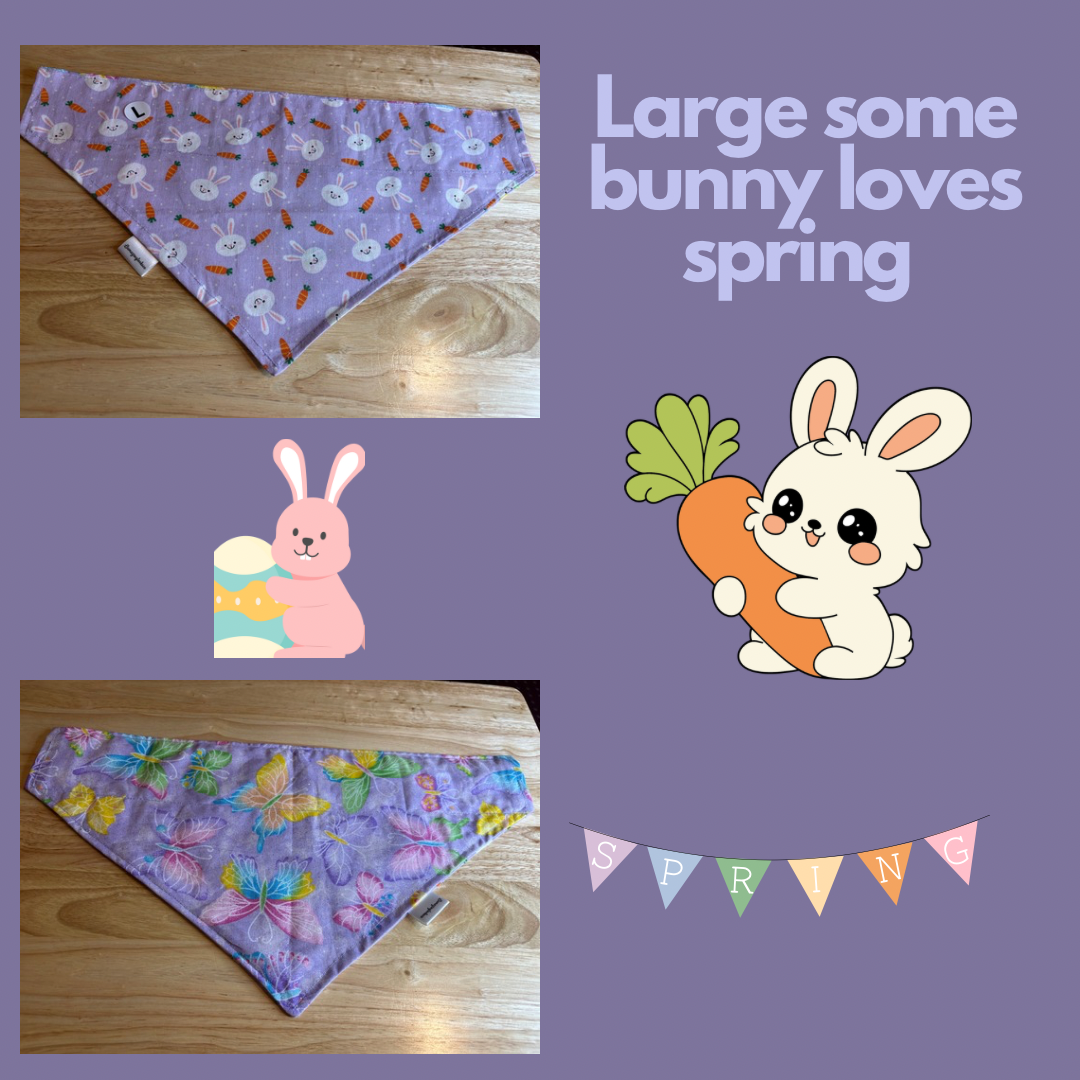 Some Bunny Loves Spring over the collar reversible pet bandanas