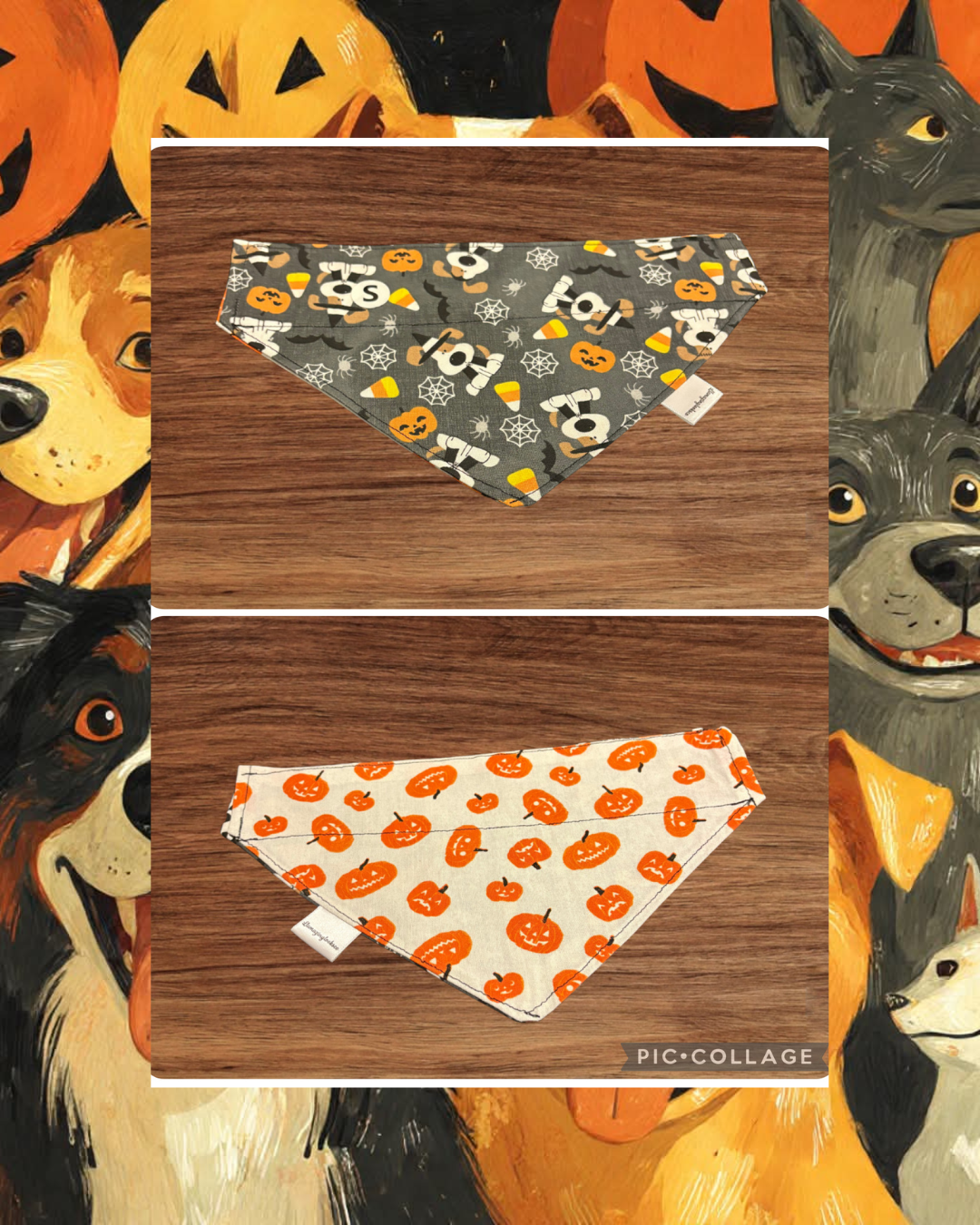 Small GLOW IN THE DARK Pupkin over the collar reversible pet bandana