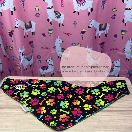 Medium Touchdown Tails over the collar pet bandana