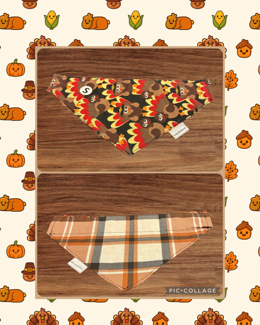 Small Give Thanks over the collar reversible pet bandana