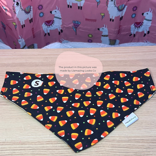 Small Candy Corn Craze over the collar pet bandana