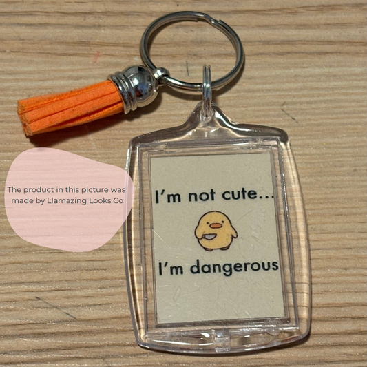 Not cute…im dangerous Photo Keychain