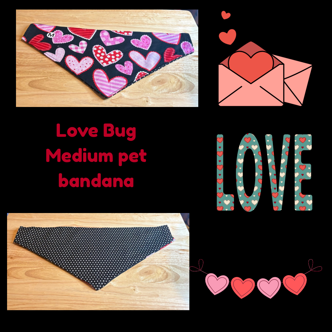 Love Bug over the collar reversible pet bandanas