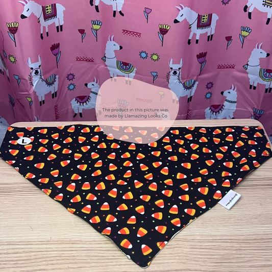 Large Candy Corn Craze over the collar pet bandana