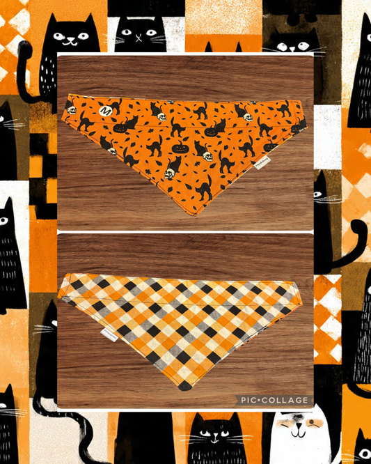 Medium Black Cat Crossing over the collar reversible pet bandana