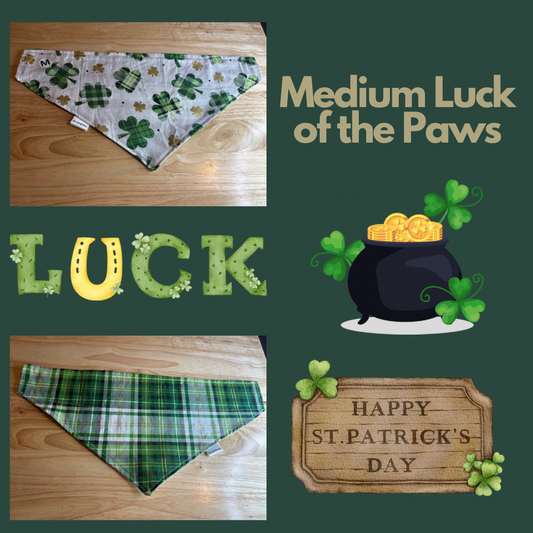Medium Luck of the Paws over the collar reversible pet bandana