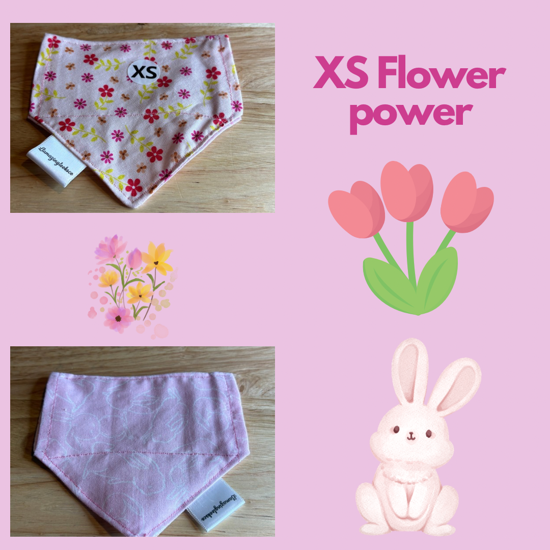 Flower Power over the collar reversible pet bandanas