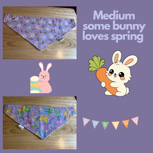 Some Bunny Loves Spring over the collar reversible pet bandanas