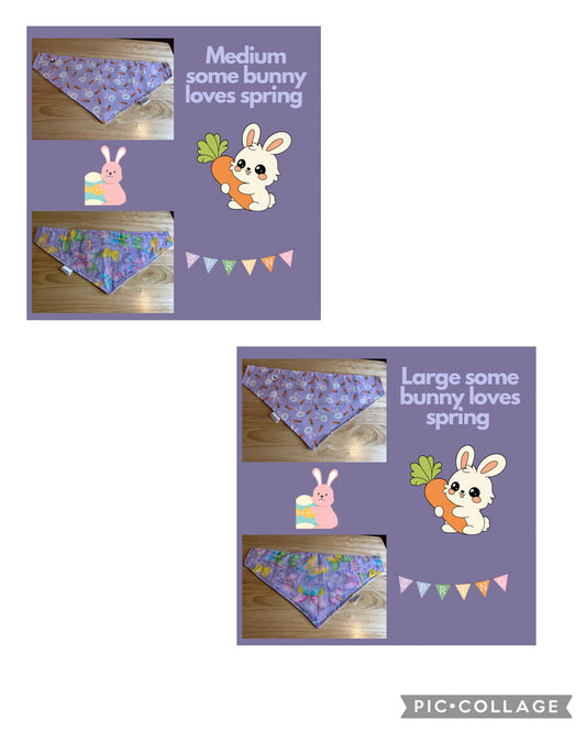 Some Bunny Loves Spring over the collar reversible pet bandanas
