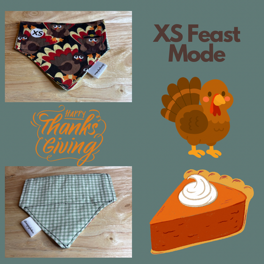 XS Feast Mode over the collar reversible pet bandana