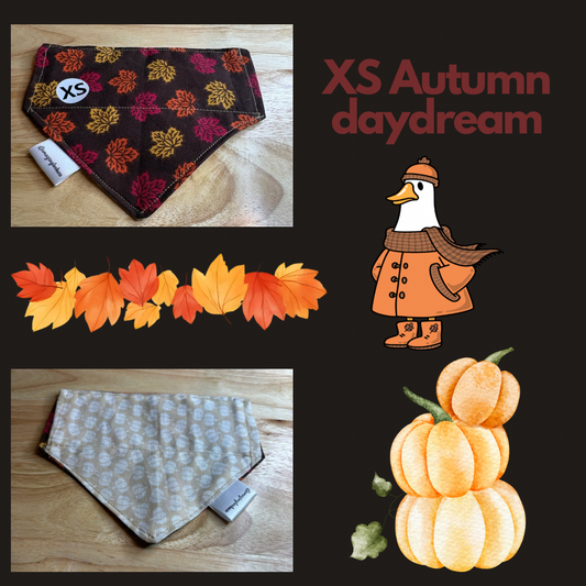 Autumn Daydream over the collar reversible pet bandanas