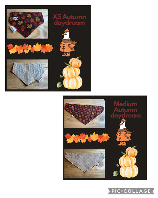 Autumn Daydream over the collar reversible pet bandanas