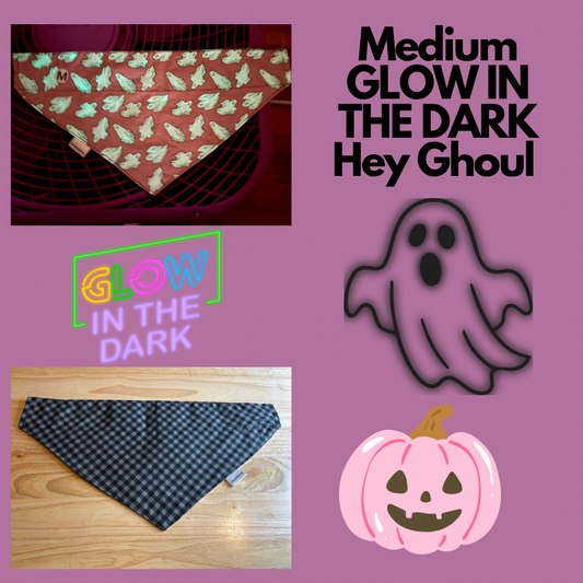 Medium GLOW IN THE DARK Hey Ghoul Hey over the collar reversible pet bandana