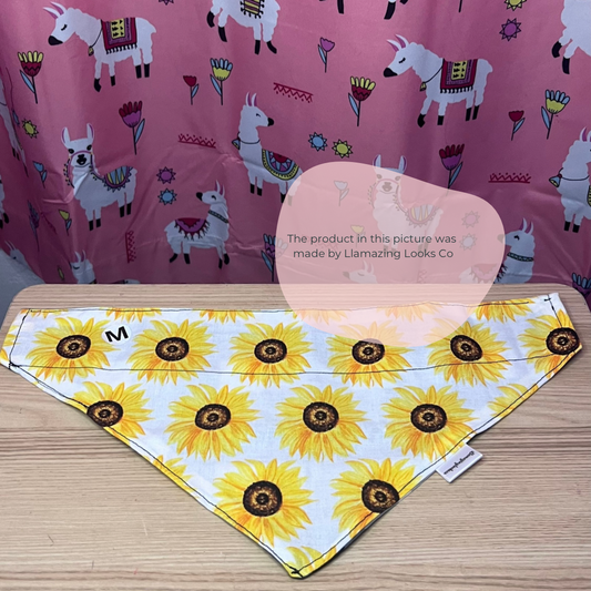 Medium Sunflower Radiance over the collar pet bandana