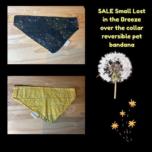Small Lost in the Breeze over the collar reversible pet bandana